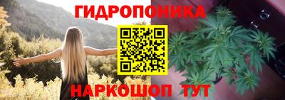 крисы Кумертау